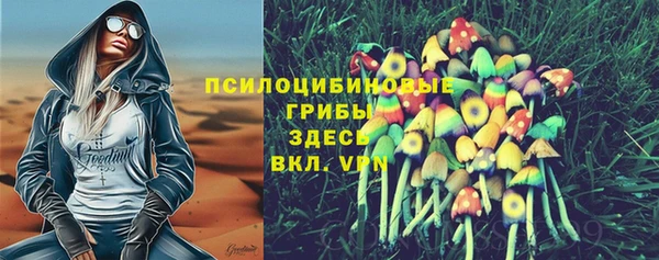 дживик Нефтекумск