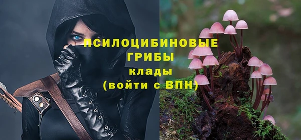 скорость Нея