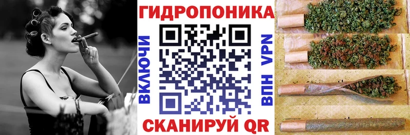 Шишки марихуана семена  Сим 